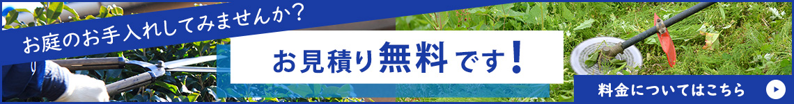 料金について