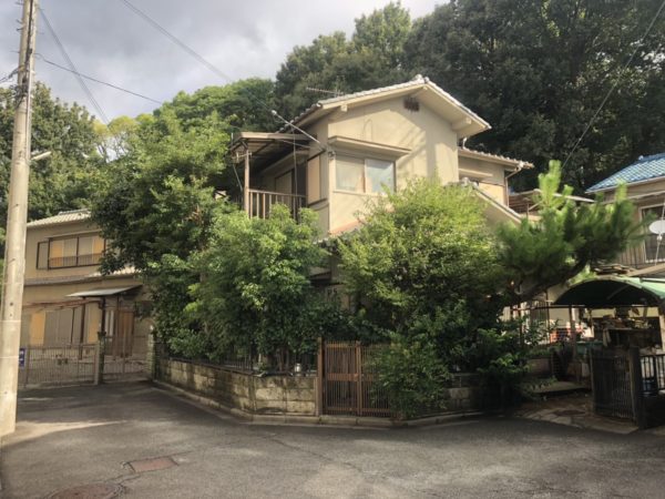 姫路市で剪定作業を行いました